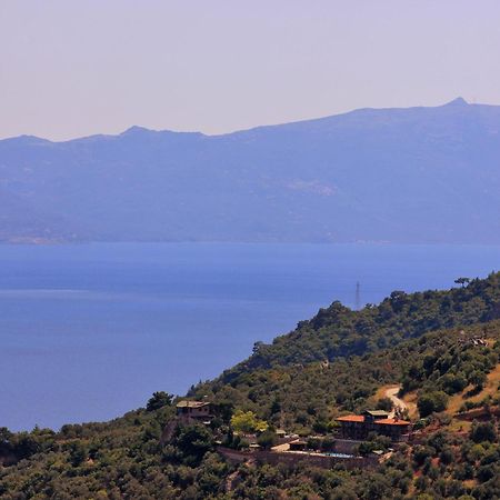 Assos Kartal Yuvasi Hotel Sazlı 외부 사진