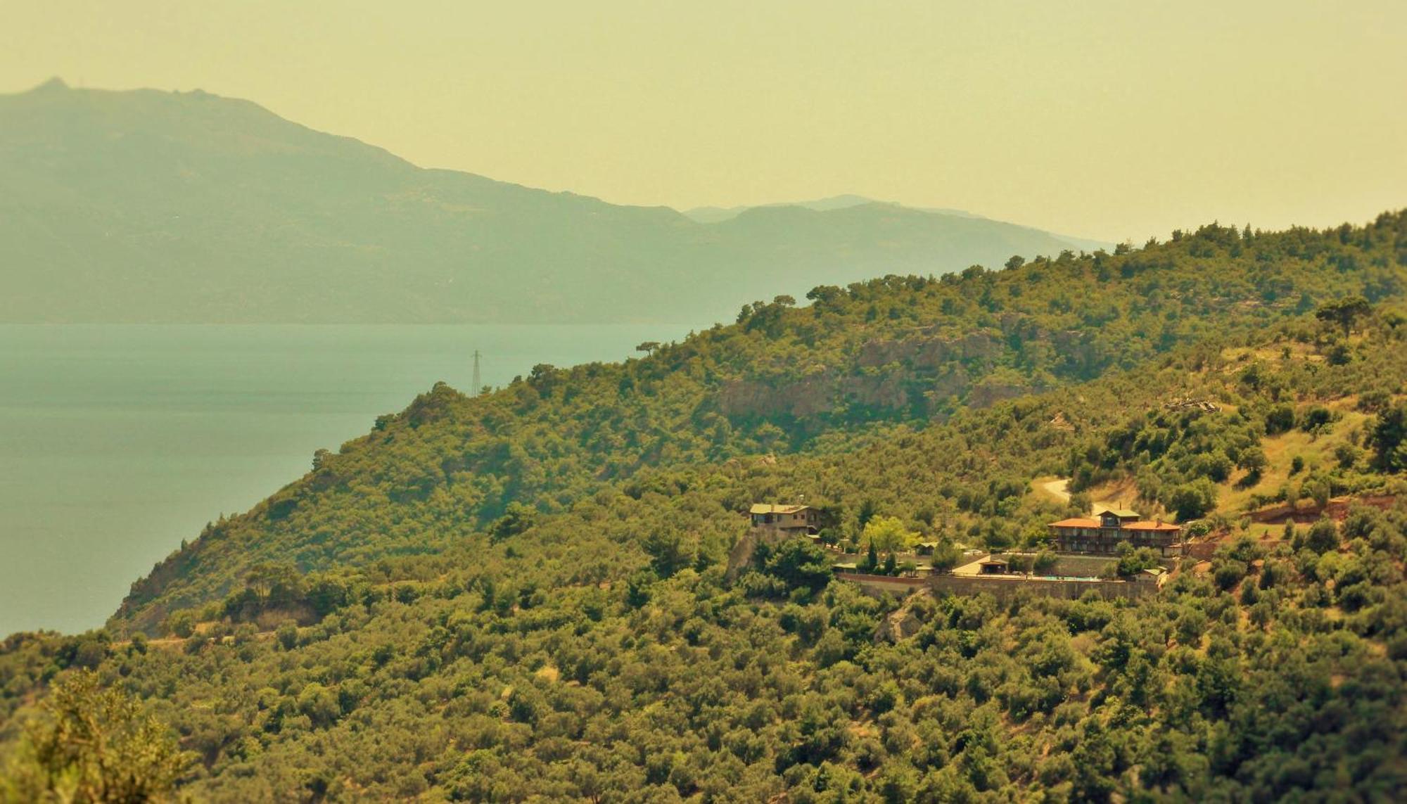 Assos Kartal Yuvasi Hotel Sazlı 외부 사진